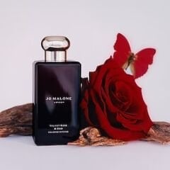 JO MALONE LONDON Velvet Rose & Oud - Cologne 50 ml
