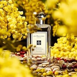 JO MALONE LONDON Mimosa & Cardamom - Cologne 100 ml