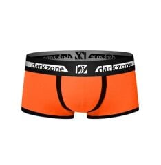 Biyeli Turuncu Erkek Boxer