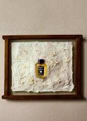 Acqua di Parma Gelsomino A Freddo EDP 100 ml ERKEK
