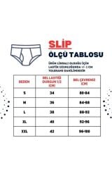 Erkek Çam Ağacı Desenli Lacivert Pamuklu Klasik Slip Külot