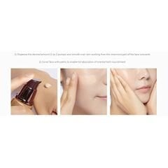 MISSHA Yoğun Kapatıcılık Sağlayan Bitkisel İçerikli BB Krem M Choboyang BB SPF30, PA 50 mililitre No.17