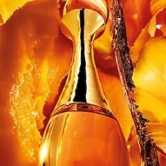 DIOR J'adore L'Or - Essence De Parfum 50 ml