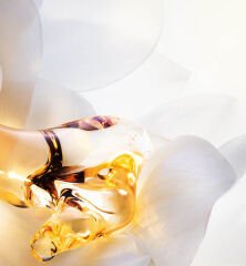 J'ADORE PARFUM D'EAU