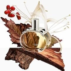 HERMÈS Barénia - Eau de Parfum 60 ml