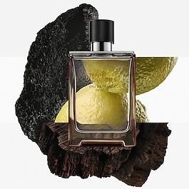 HERMÈS Terre d'Hermès - Parfum 75 ml