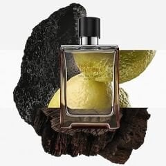 HERMÈS Terre d'Hermès - Eau de Parfum Intense 50 ml