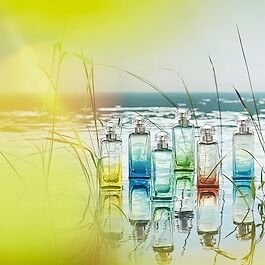 HERMÈS Un Jardin sur le Toit - Eau de Toilette 100 ml