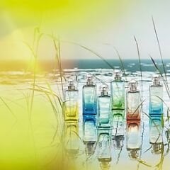 HERMÈS Un Jardin sur le Toit - Eau de Toilette 100 ml