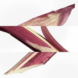 HERMÈS Eau de rhubarbe écarlate - Eau de Cologne 100 ml