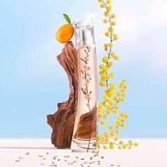 KENZO Flower By Kenzo Ikebana Mimosa Edp 75 ML
