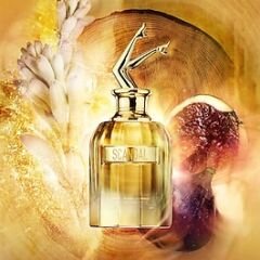 JEAN PAUL GAULTIER SCANDAL ABSOLU PARFUM CONCENTRÉ 80 ML