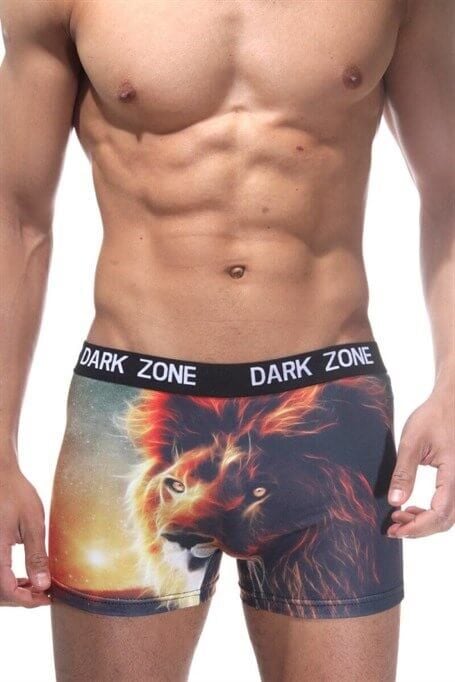 Aslan Desenli Renkli 3D Boxer