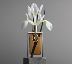 RABANNE GÜMÜŞ TEN 125 ML