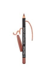 Matte Lips 4'lü Mat Dudak Seti