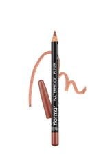 Nude Lip Combo 3'lü Dudak Makyajı Seti
