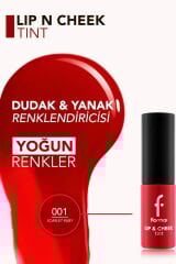 Lip & Cheek Tint - Mat ve Kalıcı Su Bazlı Likit Dudak/Yanak Renklendiricisi