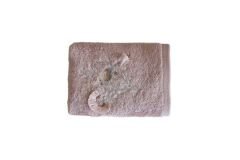 BOMONTI TOWEL 30X50 BIRD EMBROIDERED CREAM COLOR