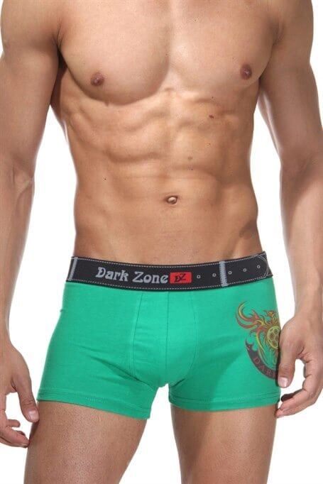 Alev Desenli Yeşil Erkek Boxer S