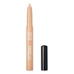 Aqua Resist Smoky Shadow - Çok Amaçlı Göz Kalemi