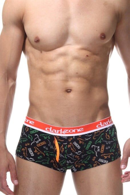 Dinazor Desenli Erkek Hipster Boxer XL