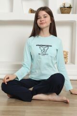 Akbeniz Kız Çocuk Penye Pijama Takım 20421