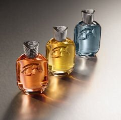 CARIOS FOUGERE AMBERY Regular price  100 ml