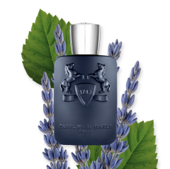 LAYTON AMBERY FOUGÈRE   125 ml