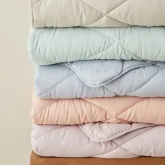 Sarah Anderson Grimes Mikrofiber Çift Kişilik Yorgan Mint