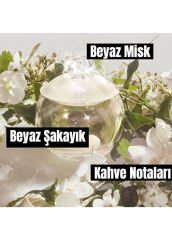 Cacharel Noa Edt 50 ml Kadın Parfüm