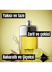 Cacharel Pour Homme EDT 100 ml Erkek Parfüm