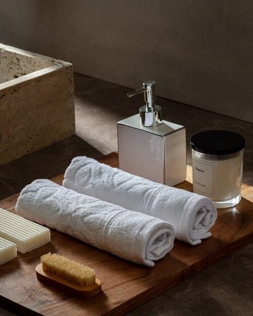 Chance 2-Pack Hand Towels