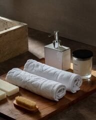 Chance 2-Pack Hand Towels
