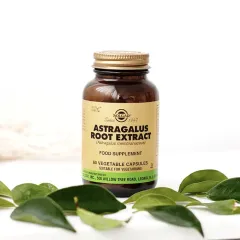 Astragalus Root Extract