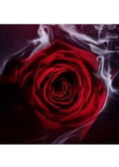 Bvlgari Le Gemme Garanat EDP 125 ml