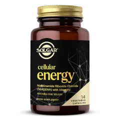Cellular Energy