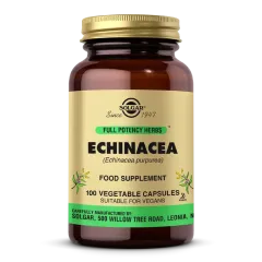 Echinacea