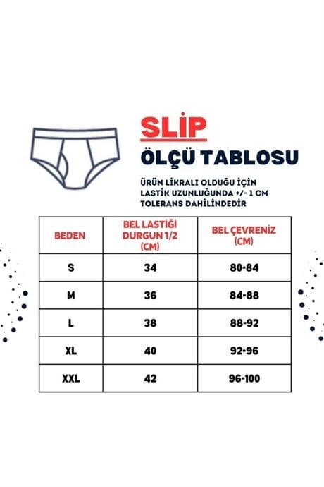 Erkek Renkli Desenli Pamuklu Klasik Slip Külot