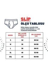 Erkek Dinozor Desenli Renkli Pamuklu Klasik Slip Külot