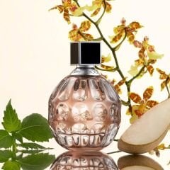 Jimmy Choo Jimmy Choo EDP Kadın Parfümü, 100 ml