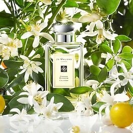 JO MALONE LONDON Orange Blossom - Cologne 100 ml