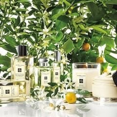 JO MALONE LONDON Orange Blossom - Cologne 100 ml